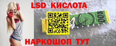 шишки Бийск