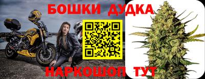 шишки Бийск