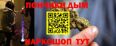 шишки Бийск