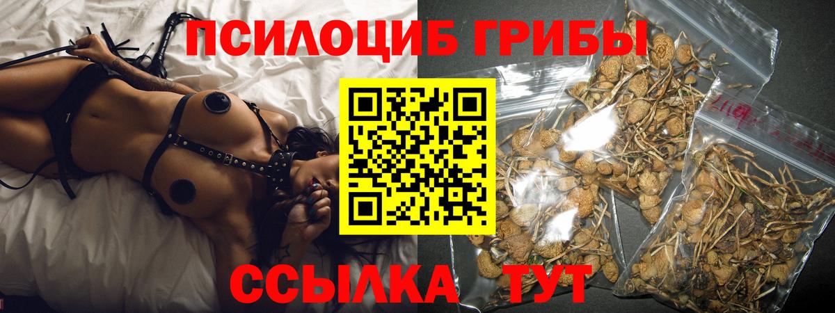 Псилоцибиновые грибы GOLDEN TEACHER  Вход с VPN  наркошоп  Кемерово  Галлюциногенные грибы мицелий 